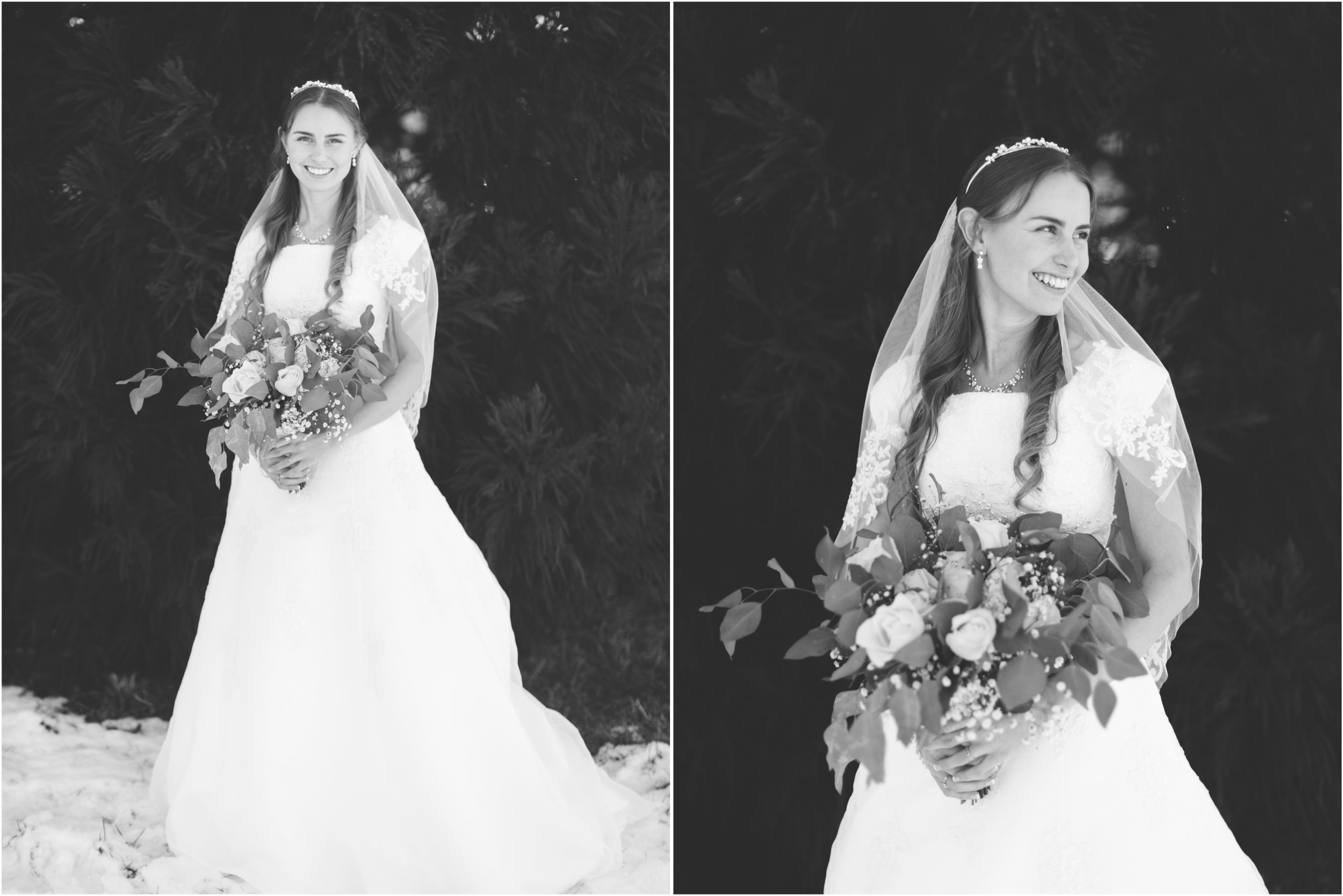 Bridal Portraits