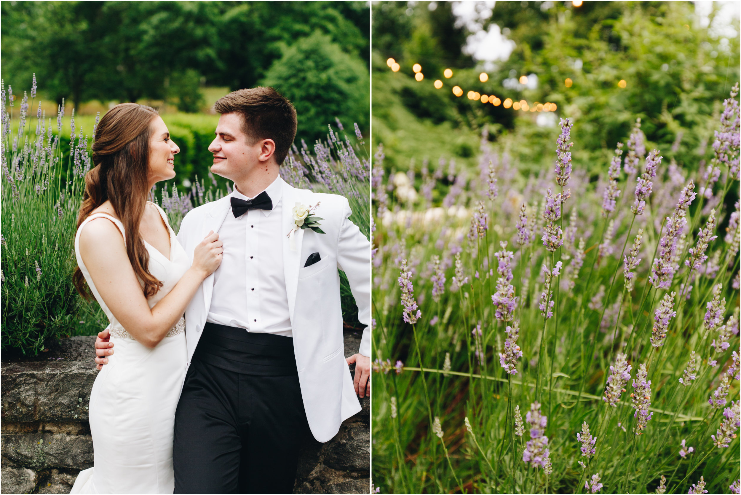 lavender wedding portraits
