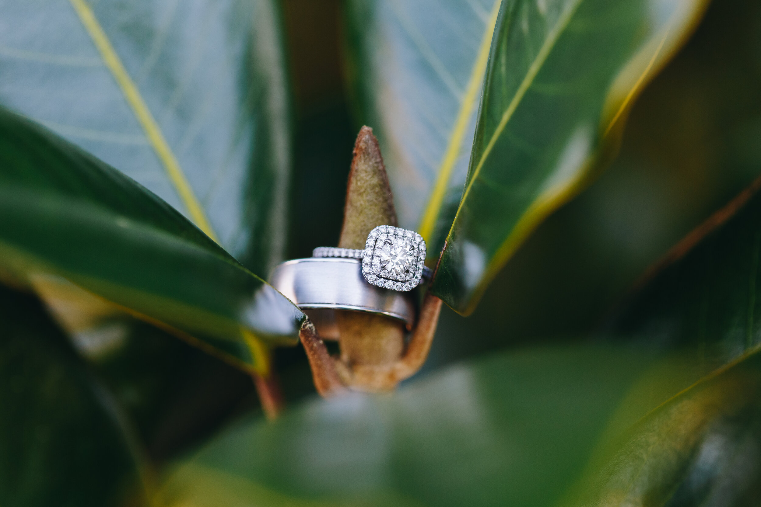 Wedding rings in leaves