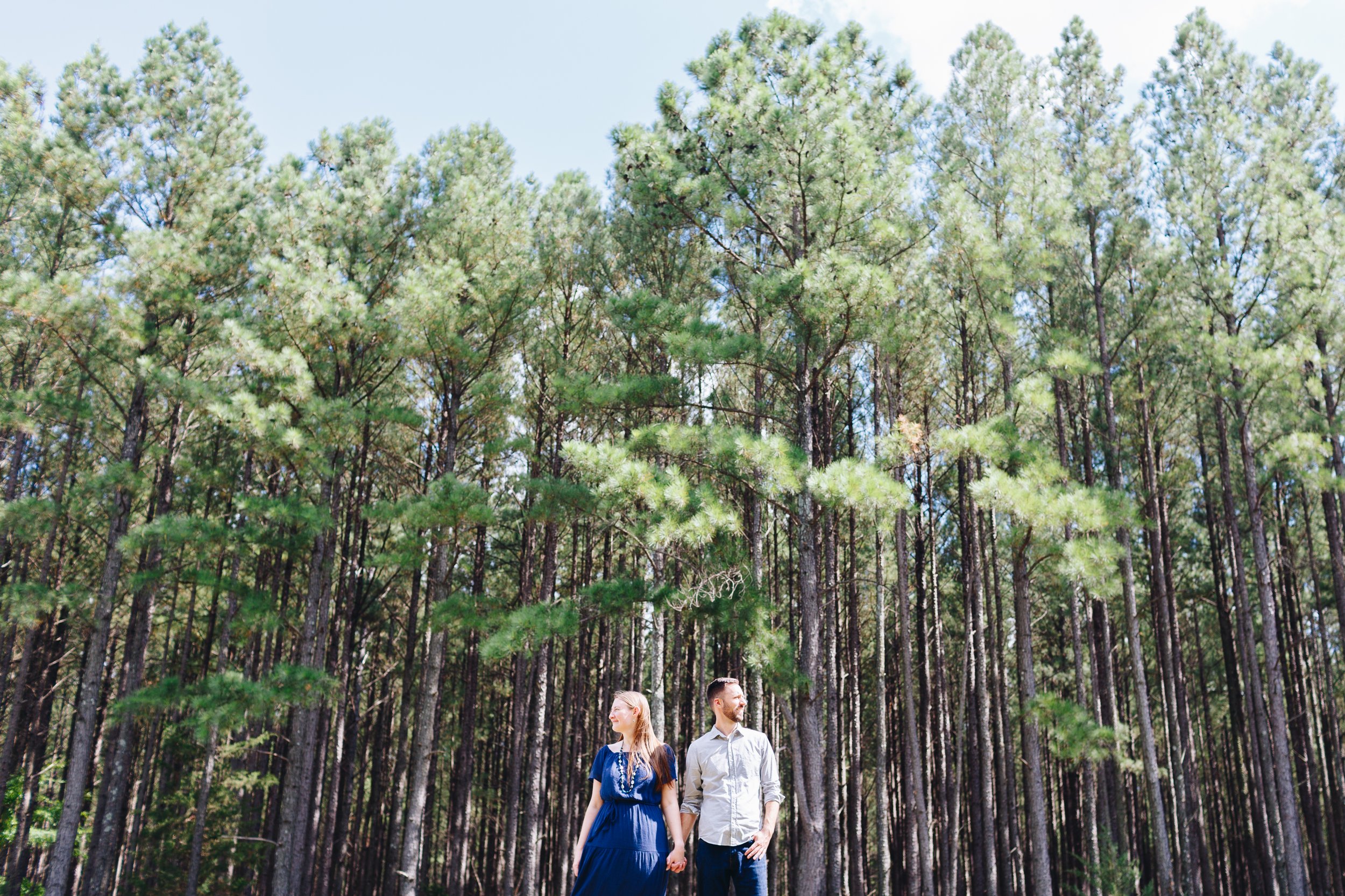 engagement photos in pine trees