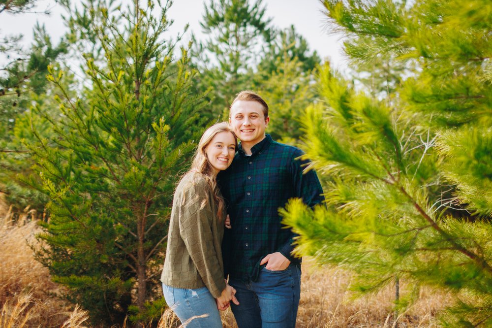 Engagement portraits in pine trees