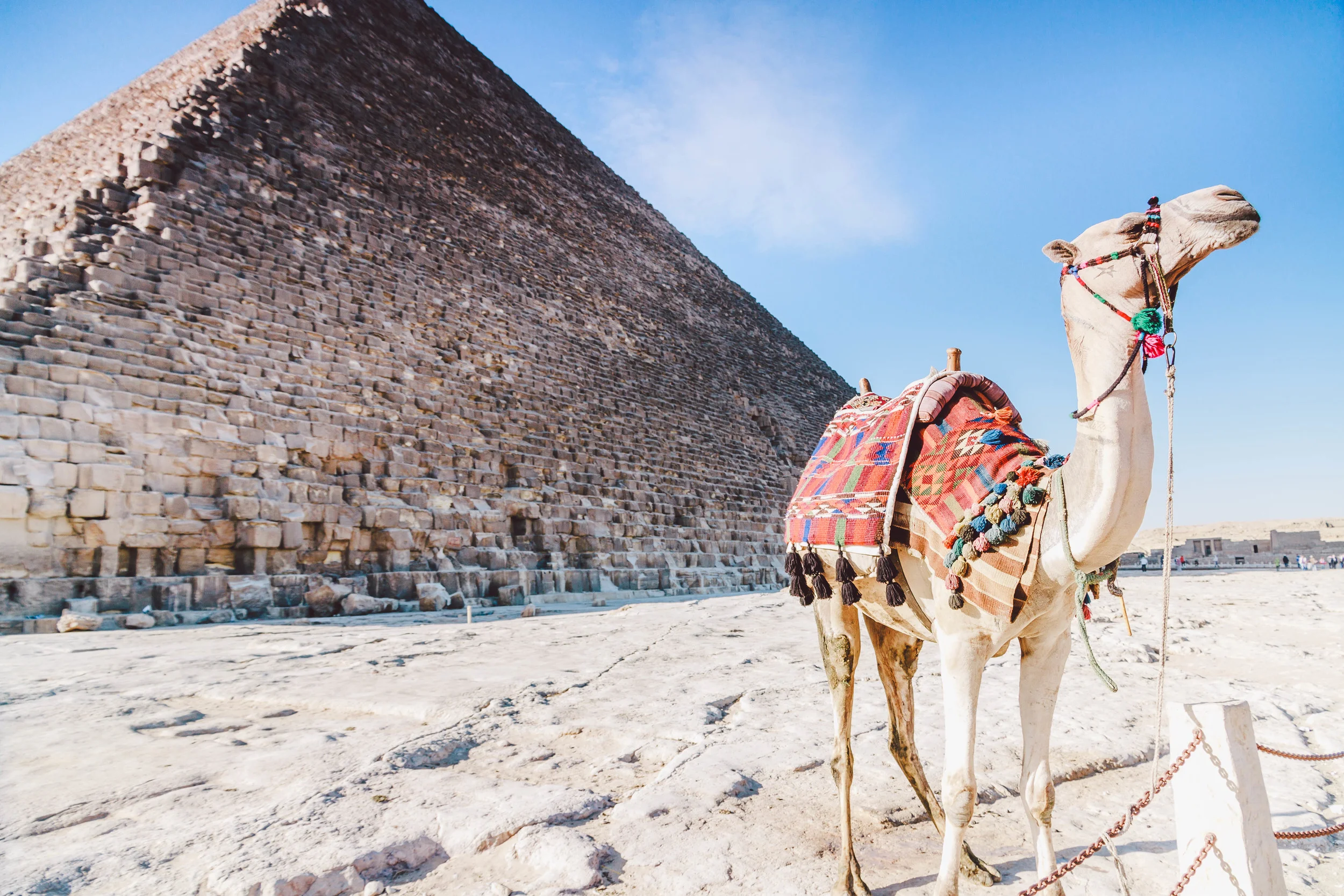 Cairo - Egypt