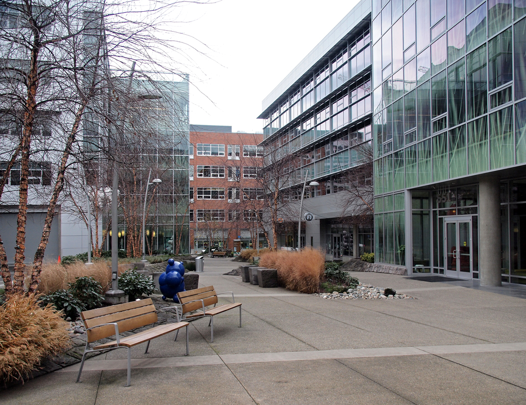 This project sits on two blocks in the South Lake Union neighborhood of Seattle Washington. It emphasizes the former natural landscape of the neighborhood at the interior courtyard and creates an outward facing crust at the perimeter of the city blocks. Programmatically this series of office buildings houses 500,000 sf of a large online retailer.