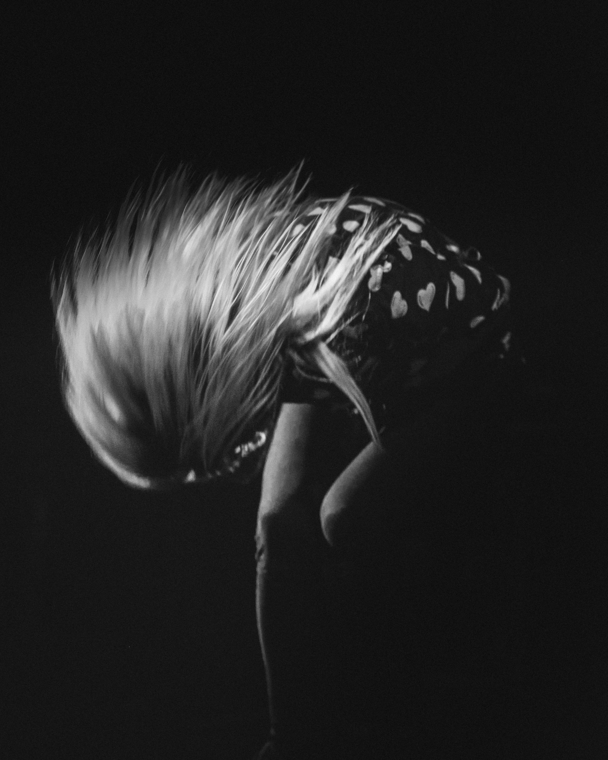 Fury_TheKills_LosAngelesCA_2015_.jpg