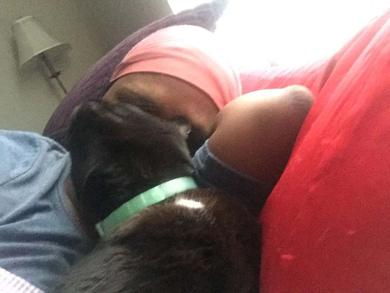 Mommy & Daisy May snuggle time...😻😻😻 