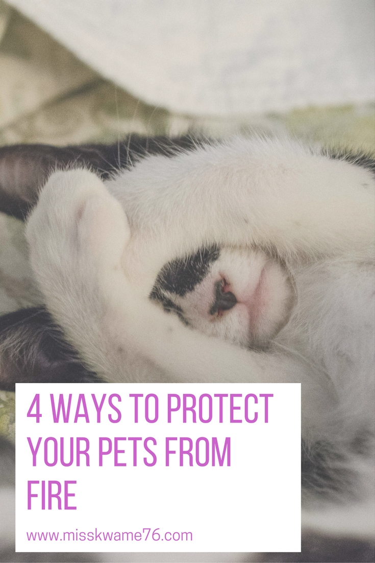 4 ways to protect your pets from fire.jpg