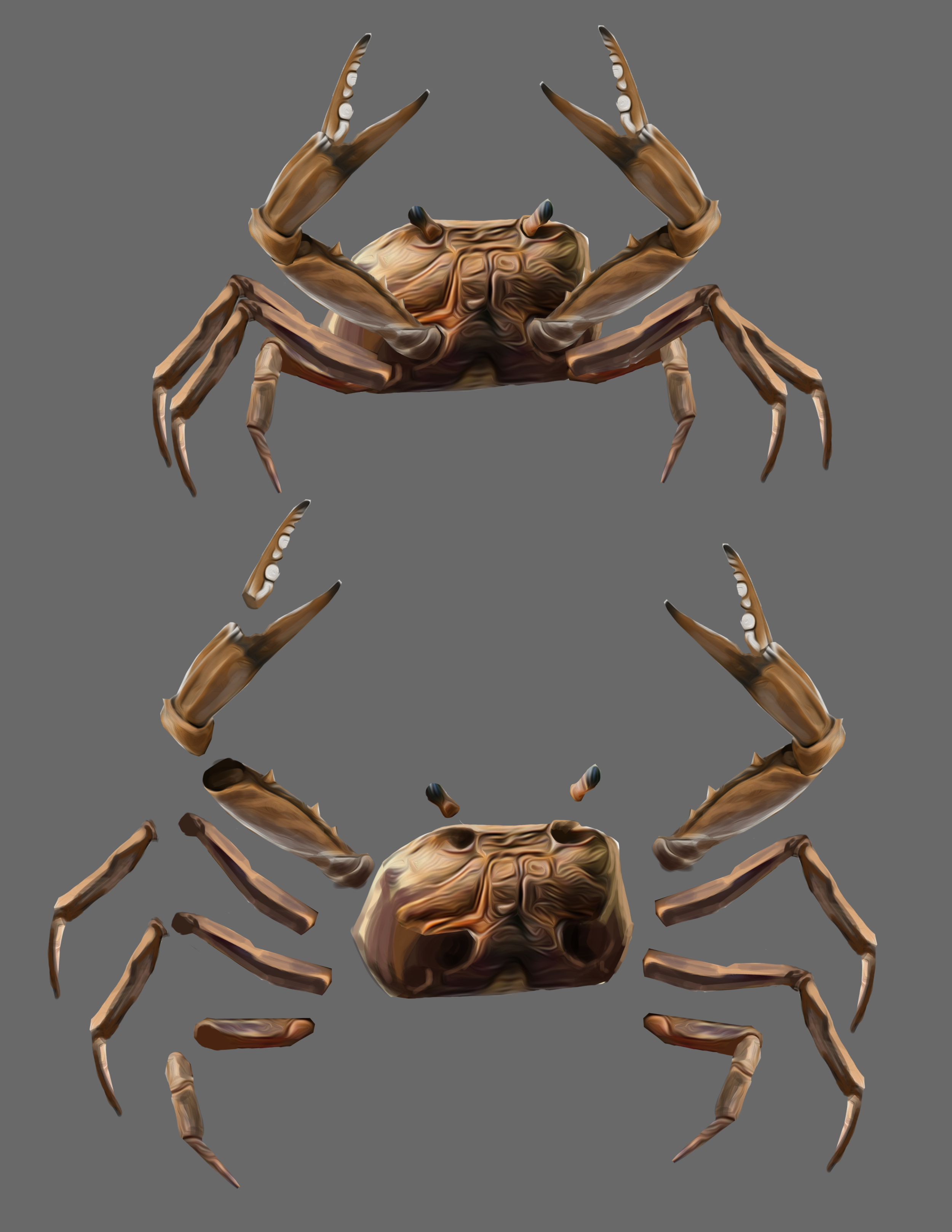 Crab.png