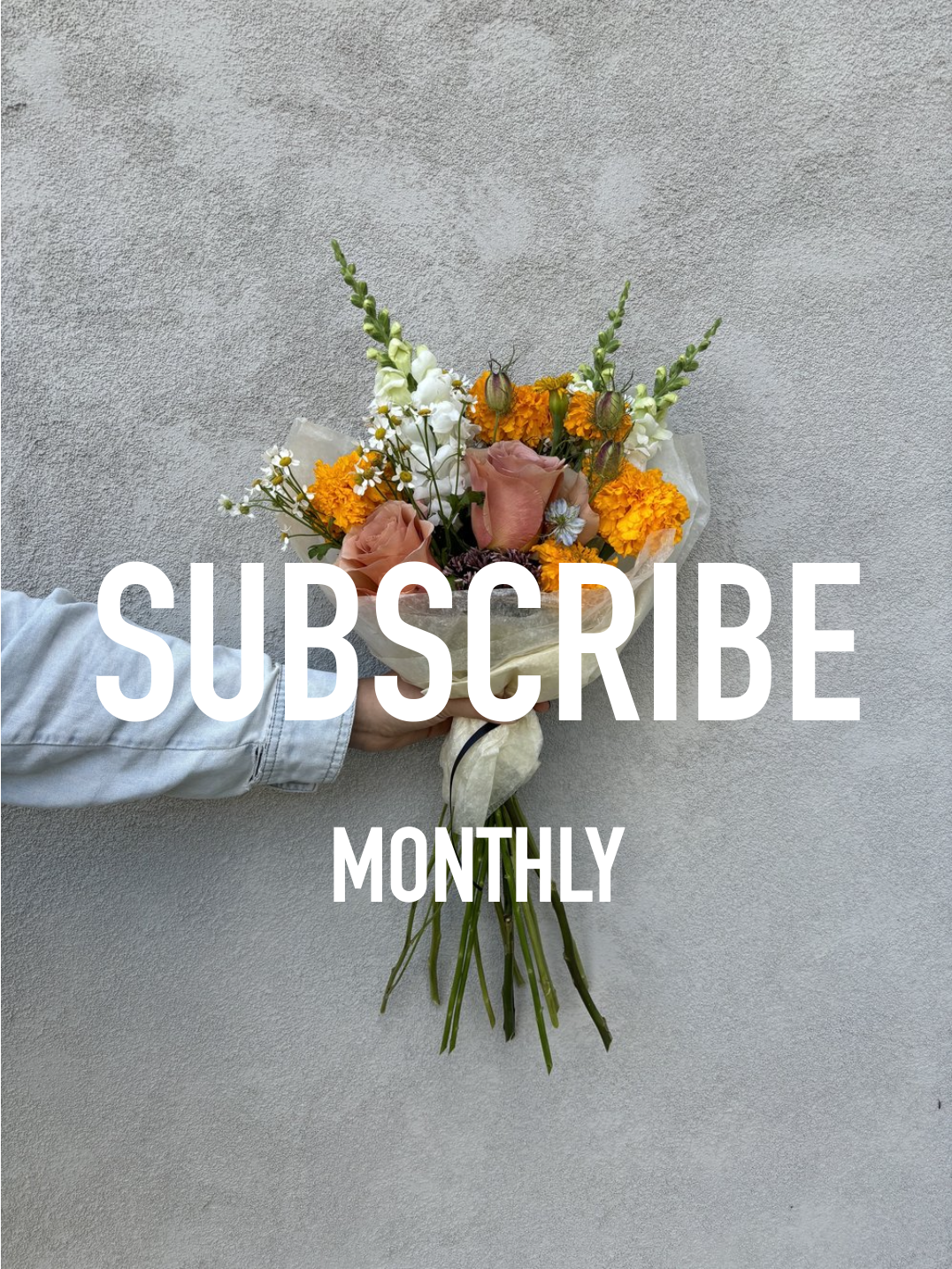 Subscription_Web_Monthly.png