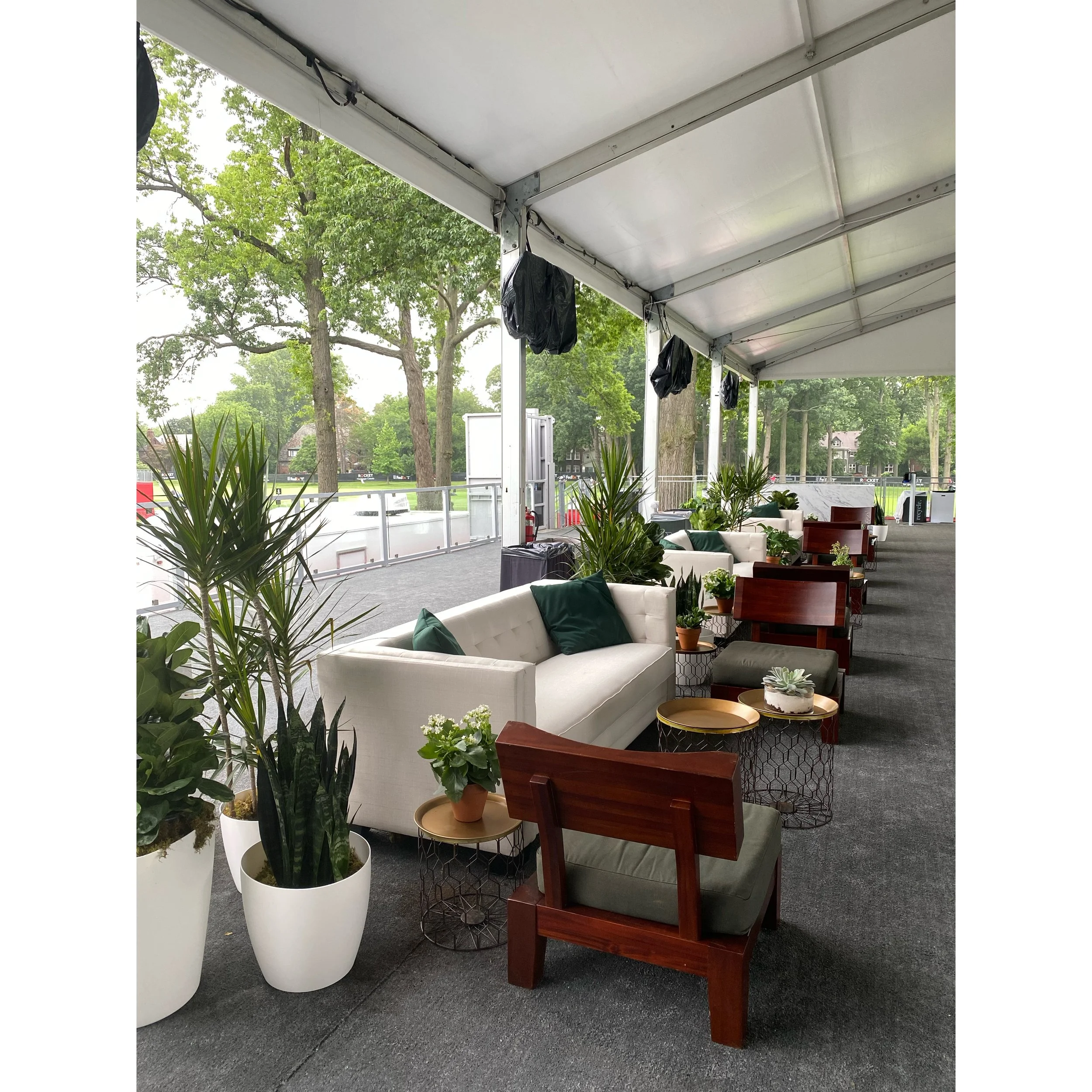 AfterlightImage 4.JPG