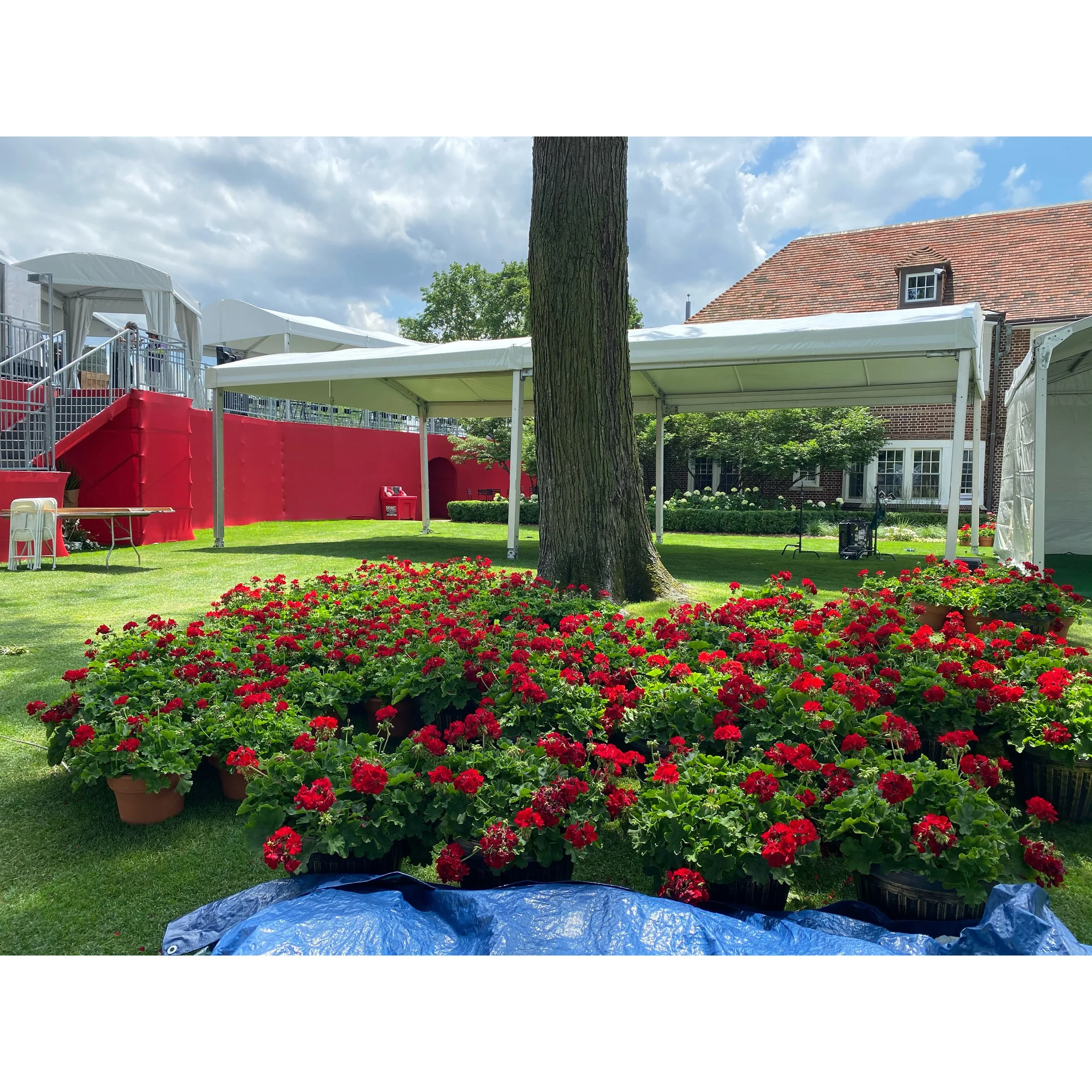 AfterlightImage 7.JPG