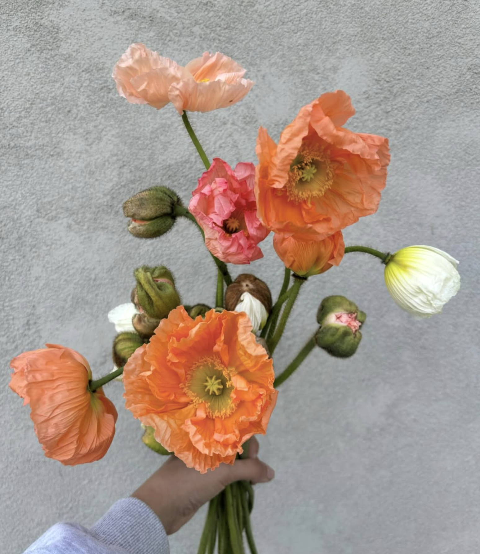 SPRING POP UP AT MADEWELL IN WESTPORT, CT