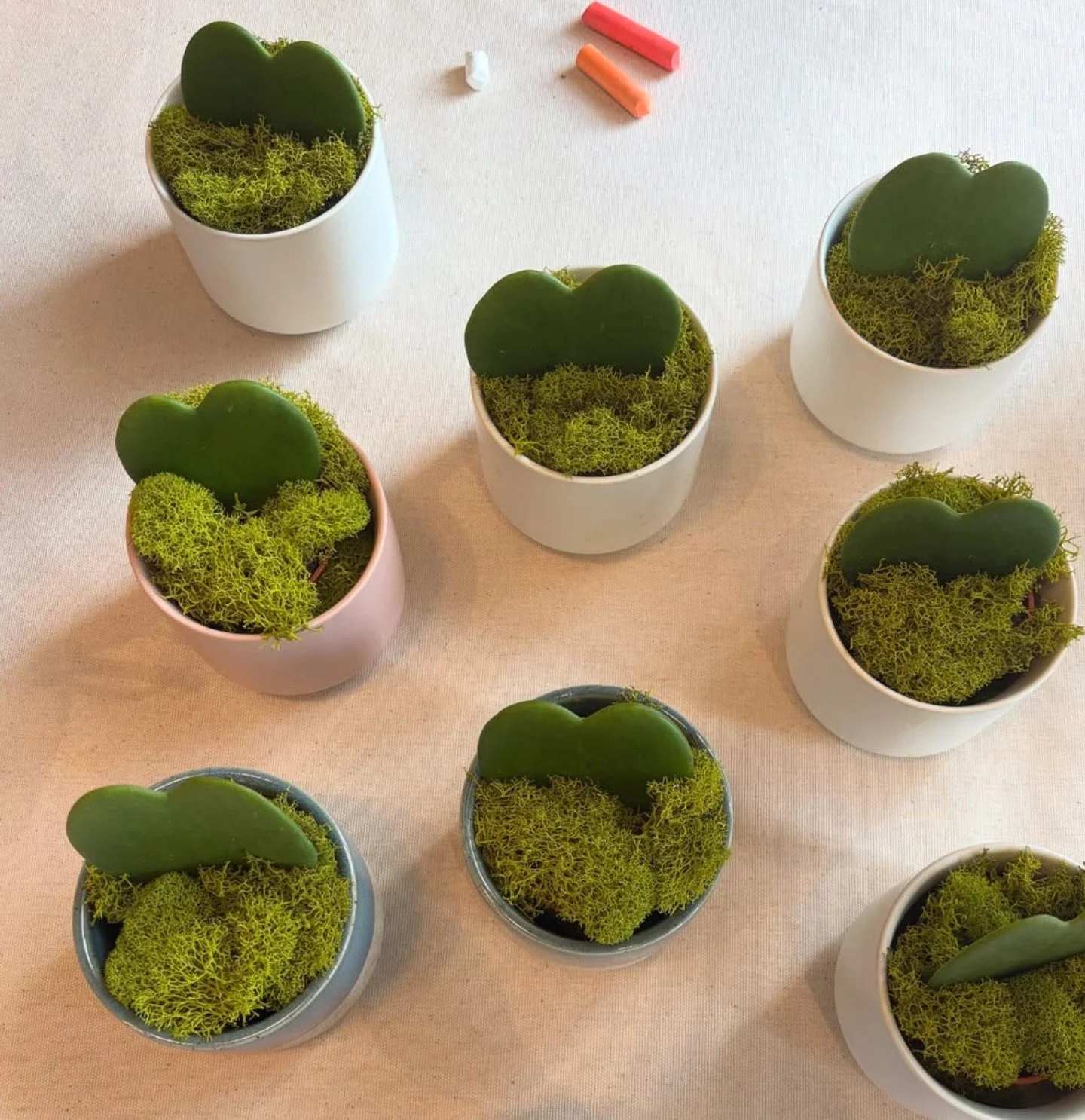 VALENTINE'S POP UP AT MADEWELL IN WESTPORT, CT