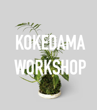 KOKEDAMA WORKSHOP AT ELICIT BREWING IN FAIRFIELD CT