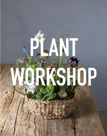 PLANT WORKSHOP AT ELICIT BREWING CO. IN FAIRFIELD CT