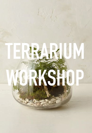TERRARIUM DEMONSTRATION AT DARIEN PUBLIC LIBRARY
