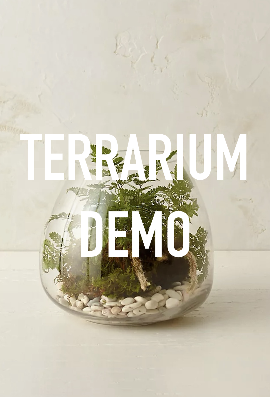 TERRARIUM DEMONSTRATION AT DARIEN PUBLIC LIBRARY