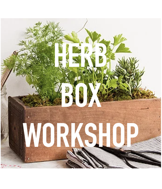 HERB BOX PLANTERS WORKSHOP