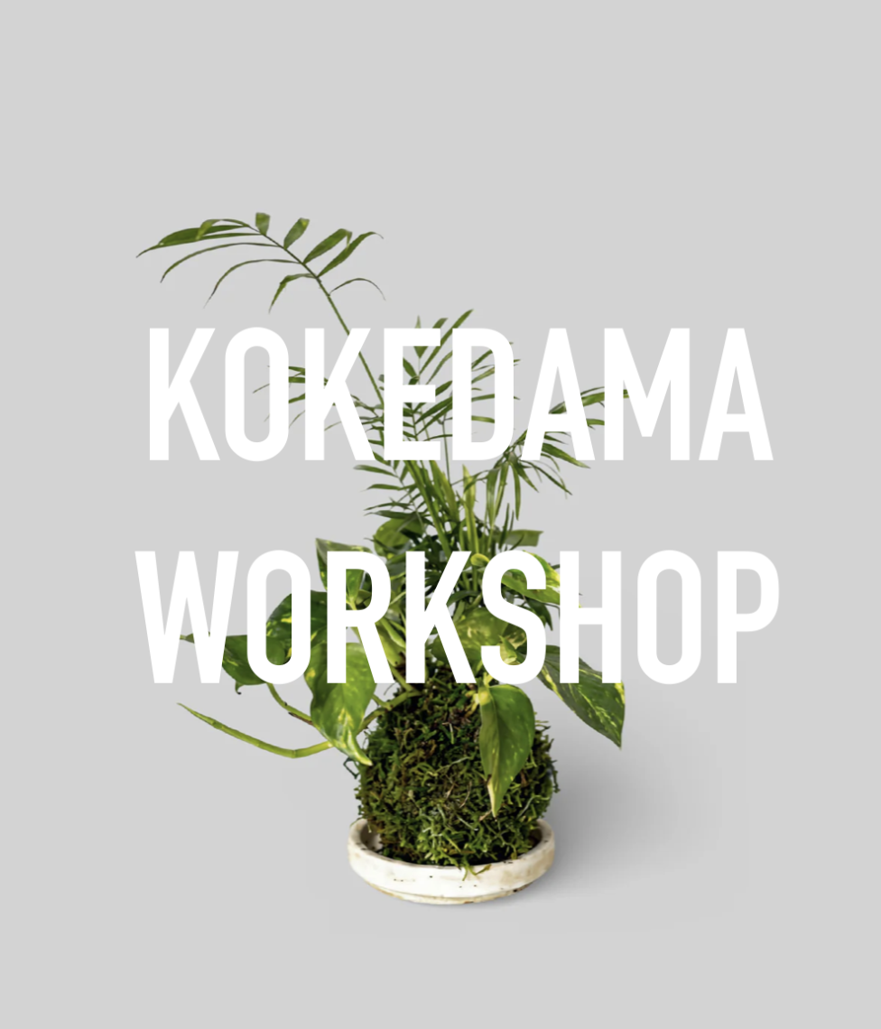 KOKEDAMA WORKSHOP