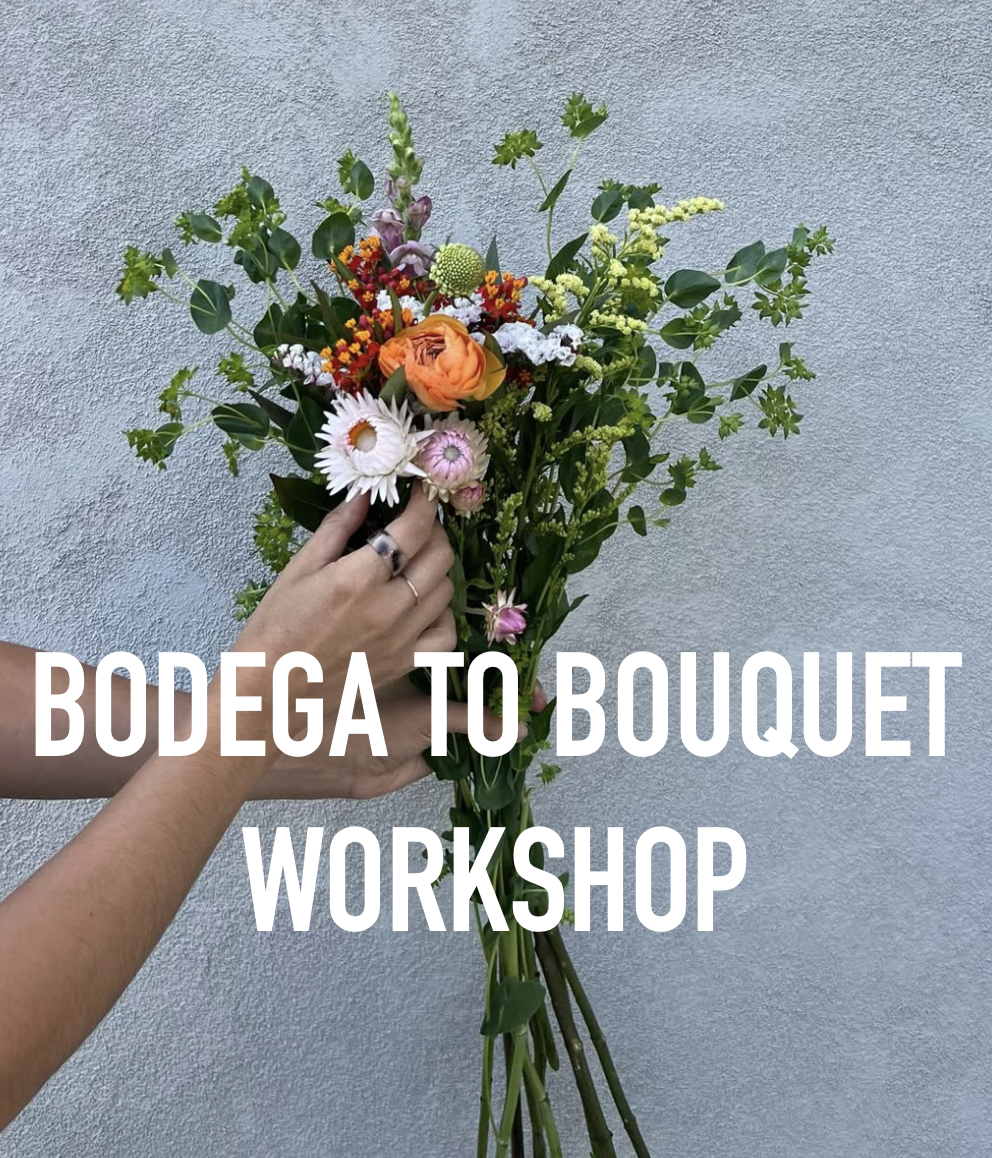 Screenshot 2026-04-09 at 4.57.58 PM.png