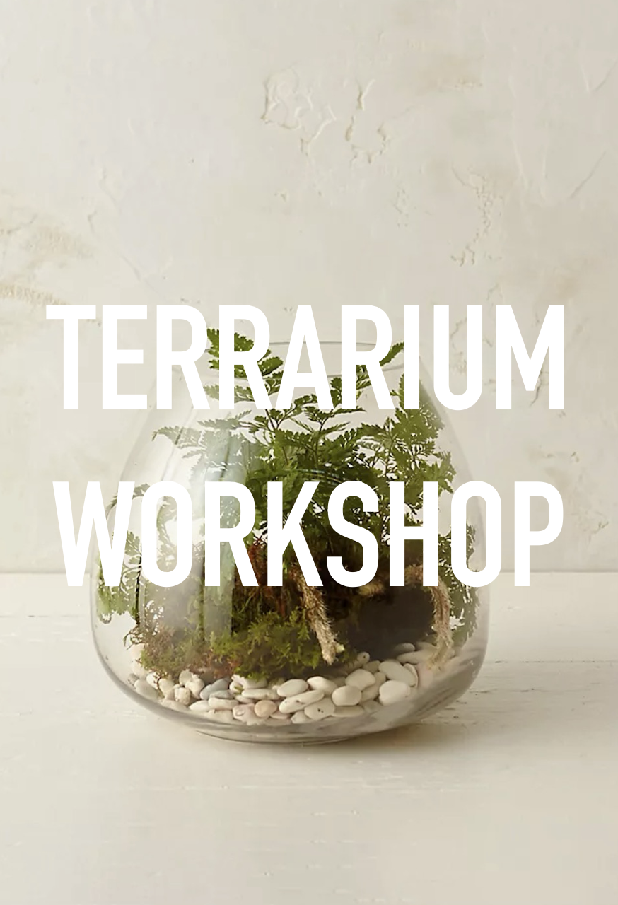 Jenni Kayne Terrarium Workshop.png