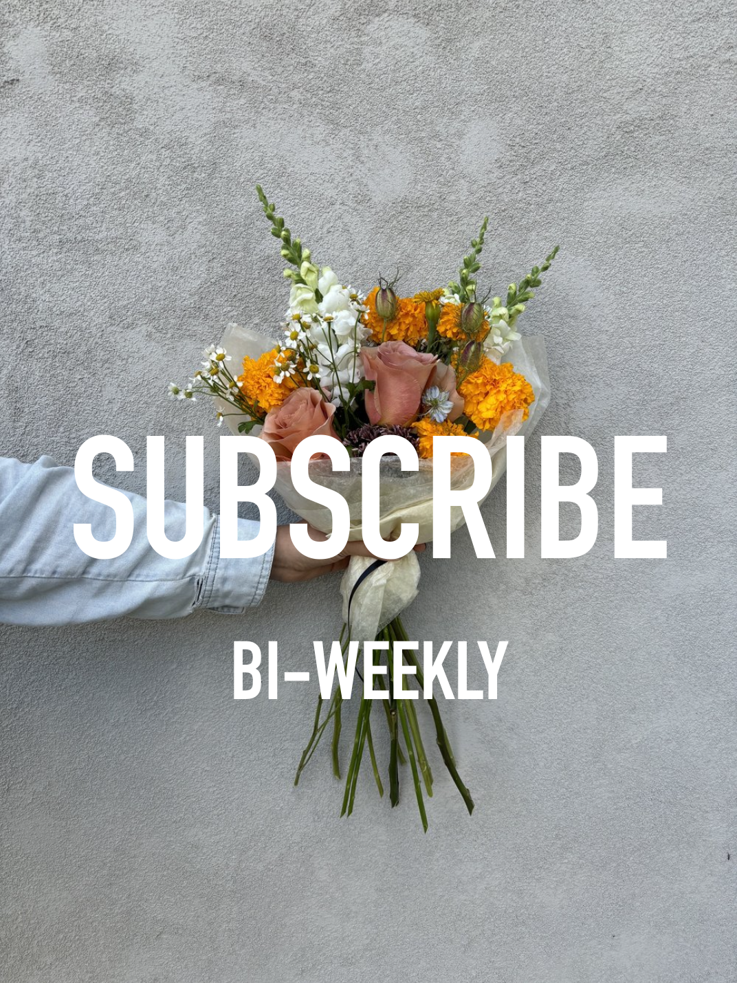 Subscription_Web_BiWeekly.png