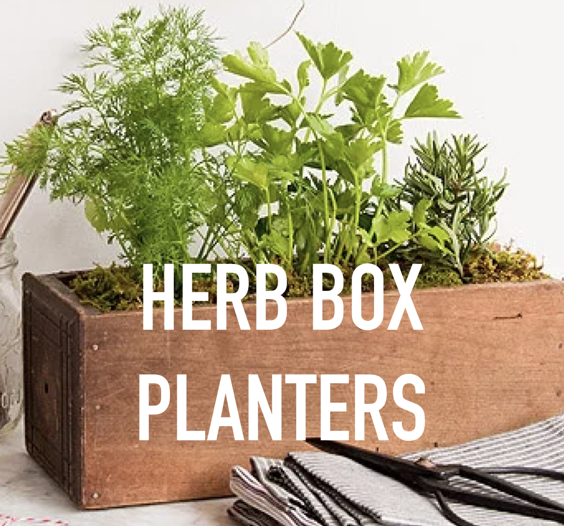 Herb Box Workshop.png