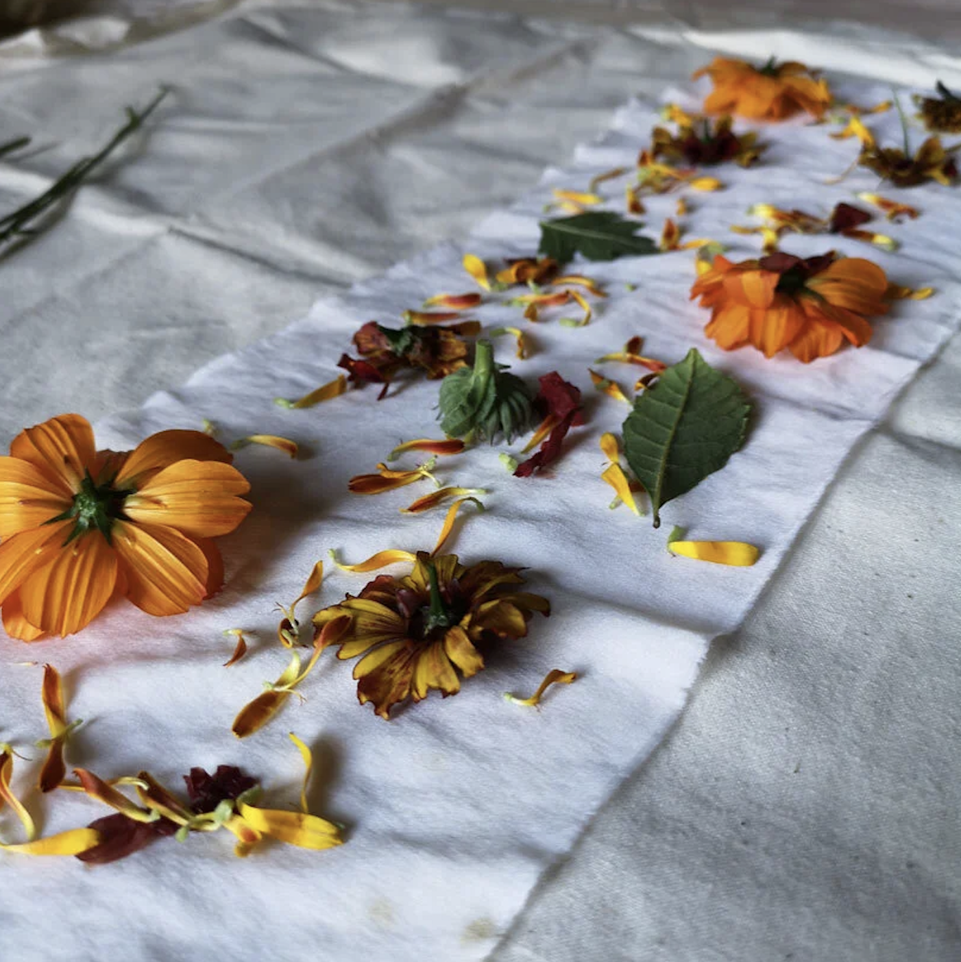 Screenshot 2026-04-07 at 10.01.23 AM.png