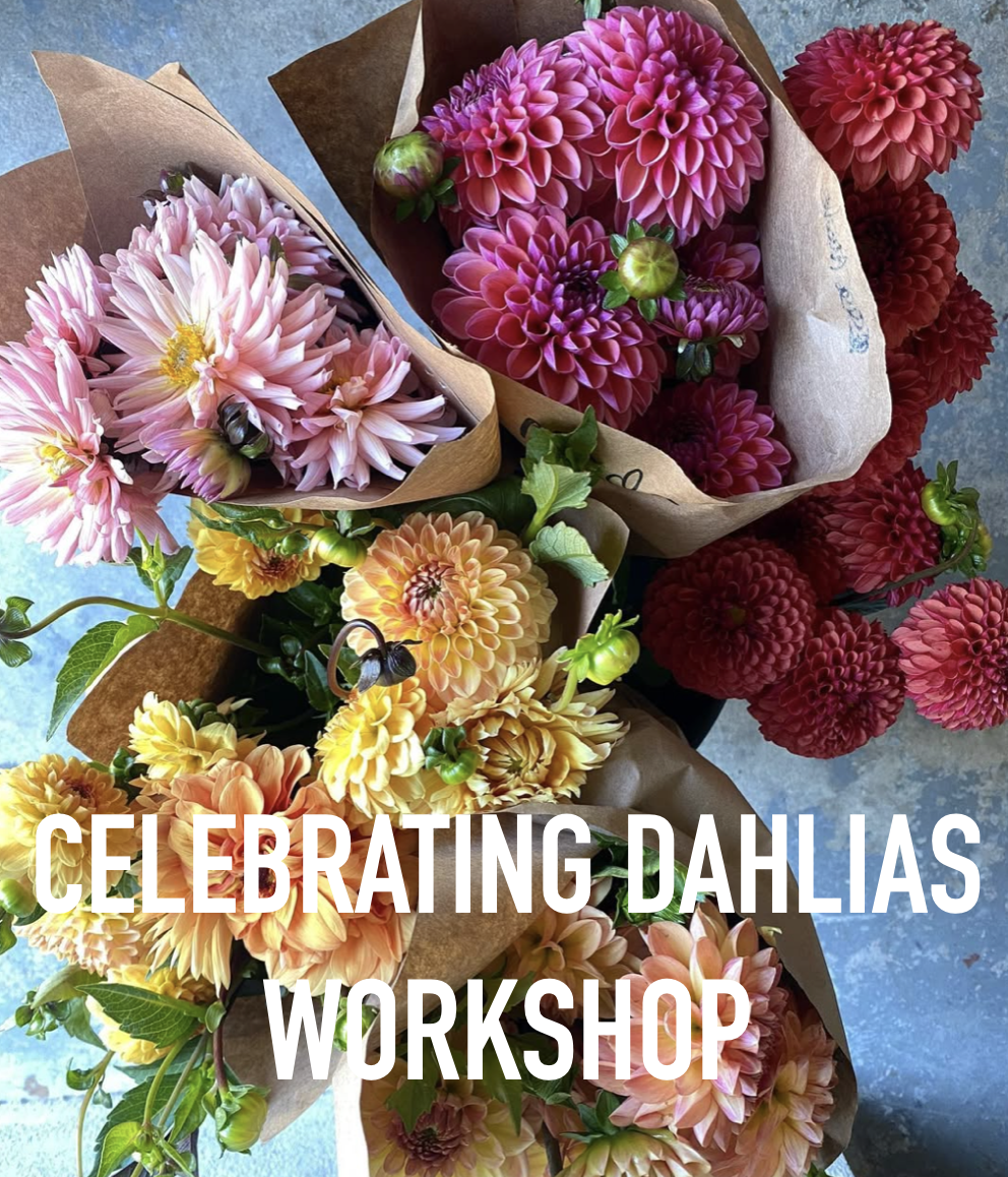 Screenshot 2026-04-09 at 5.05.20 PM.png