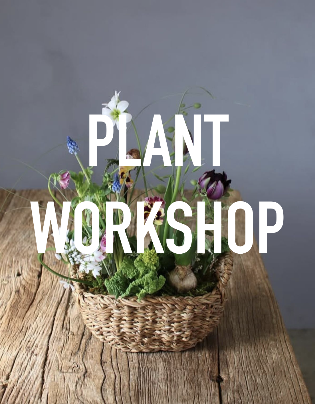 PLANT WORKSHOP.png
