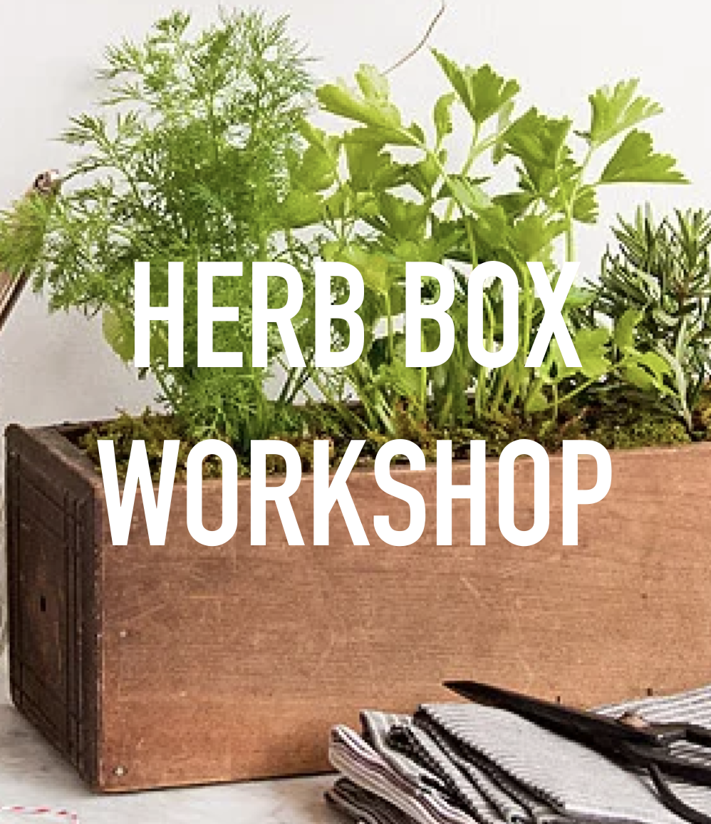Herb Box Workshop.png