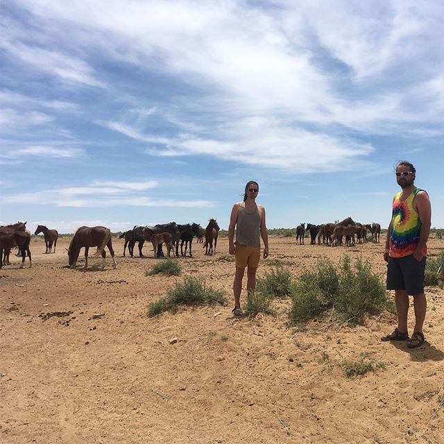 Greetings from horse country, NM.