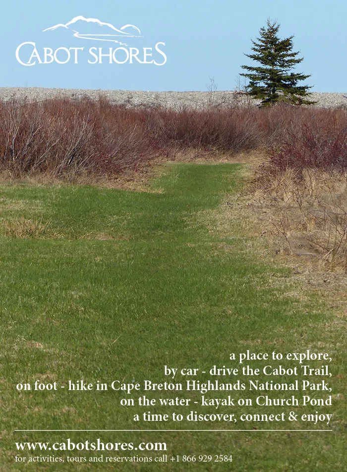 ads for Cabot Shores3.jpg