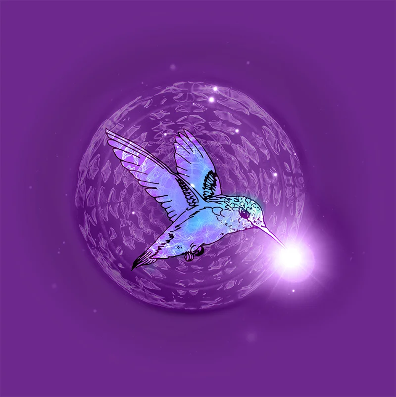 purple-celestial-hummingbird-insta.jpg