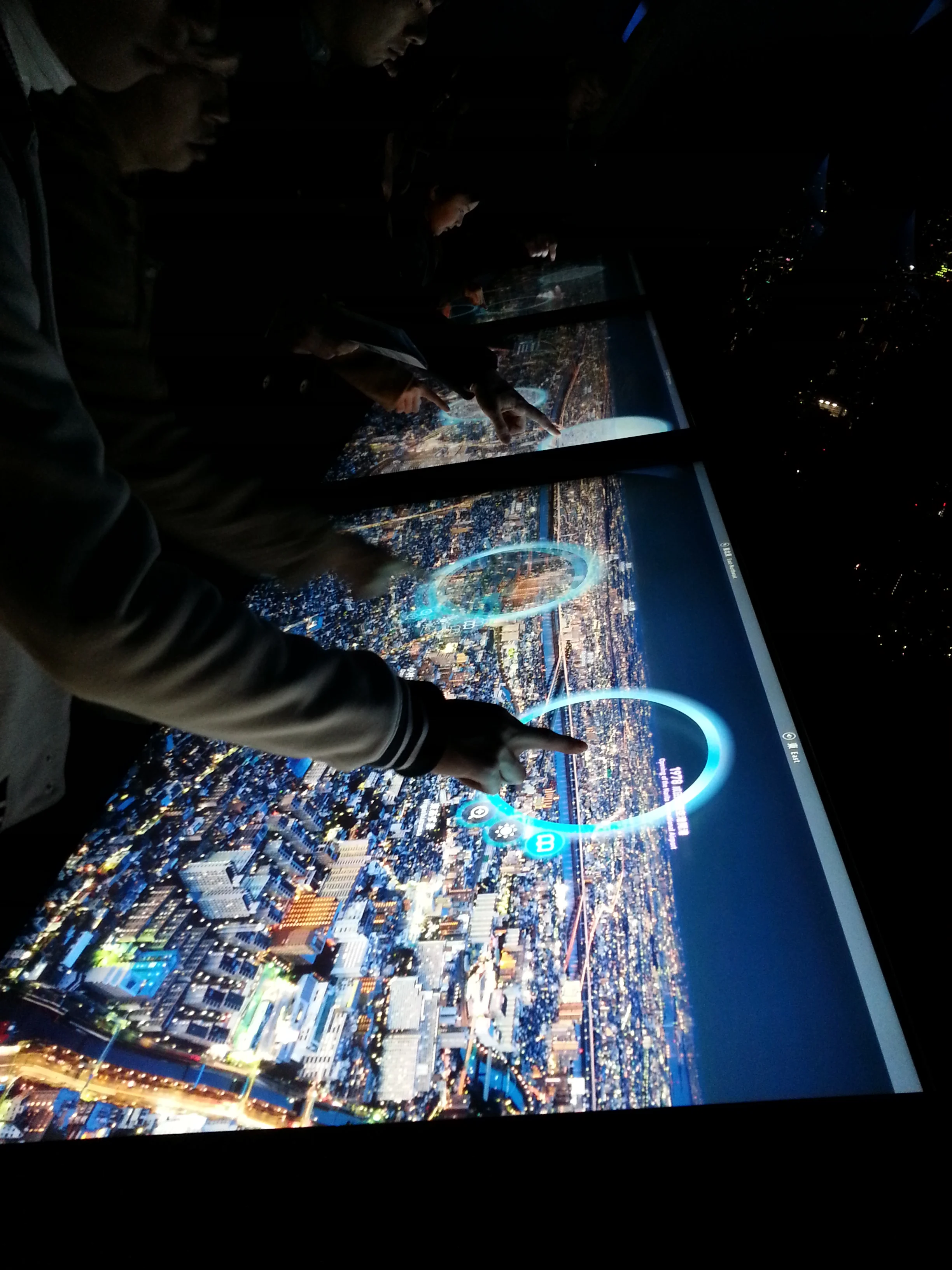 Japan Day 1: A Splash of Temples, Animals, and City Views