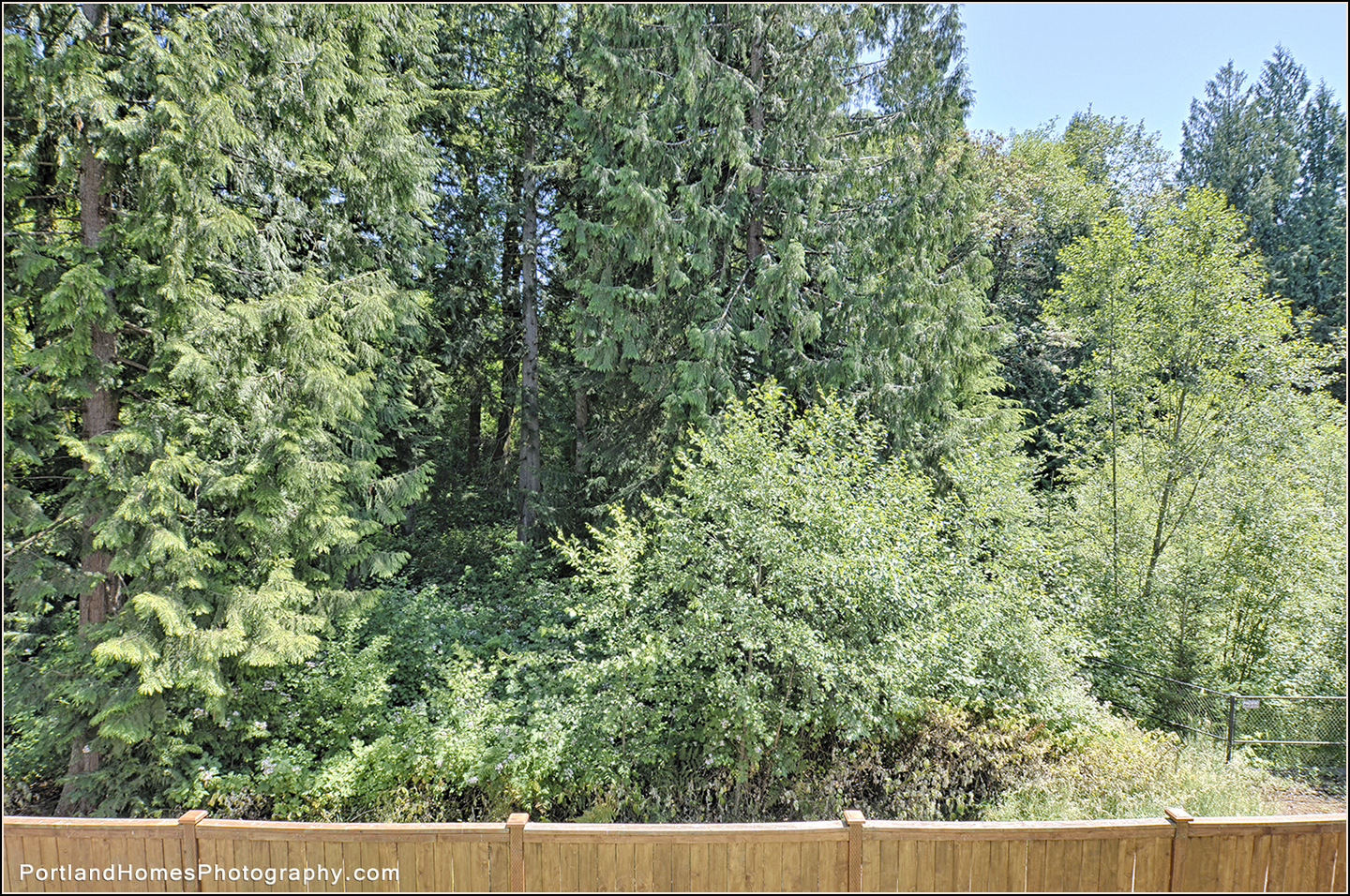 9_39562 STAMPEDTrillium St copy.jpg