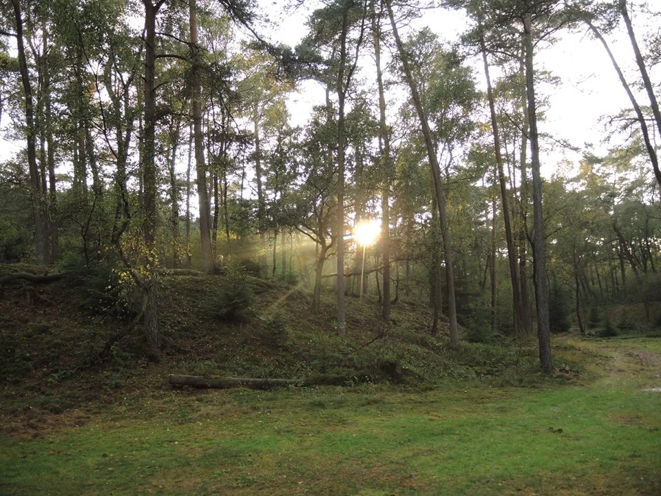 Over Overvloed en delen (Reframing scarcity to abundance)