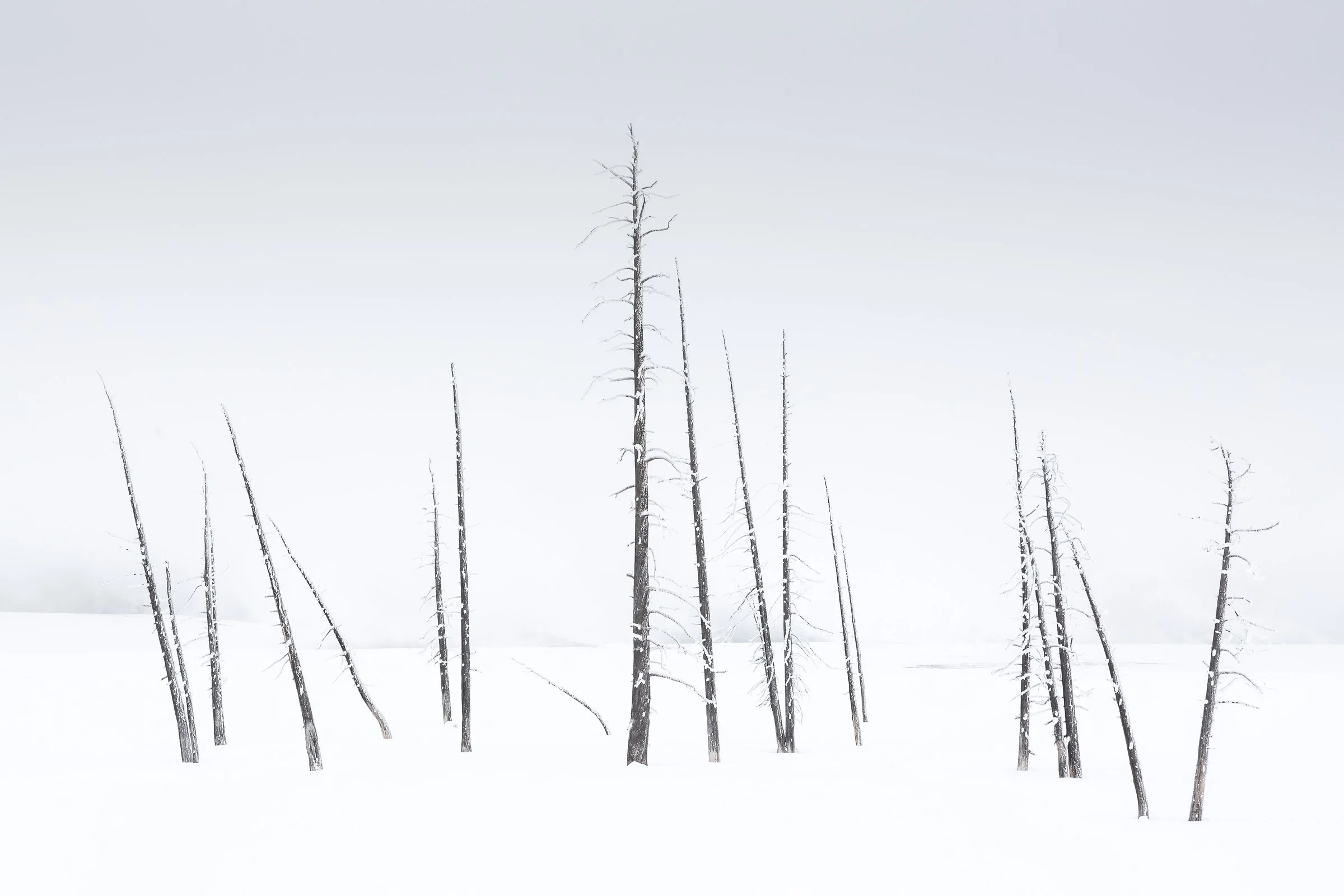 PAJ_3420-Edit.jpg