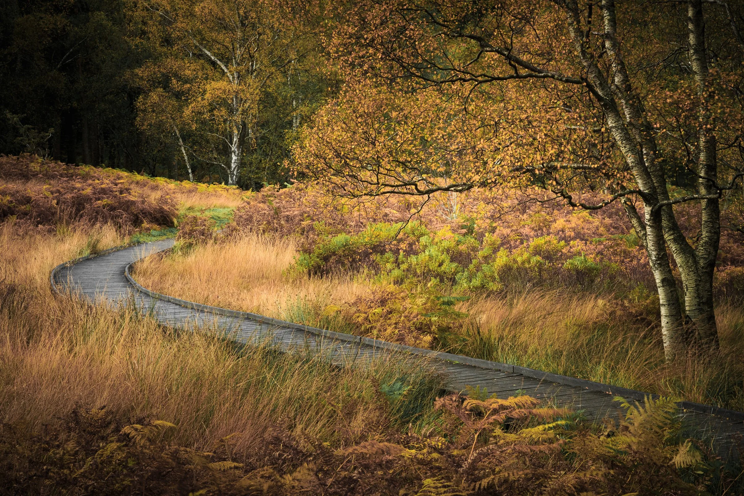 2015-10-23-Lake District-101.jpg