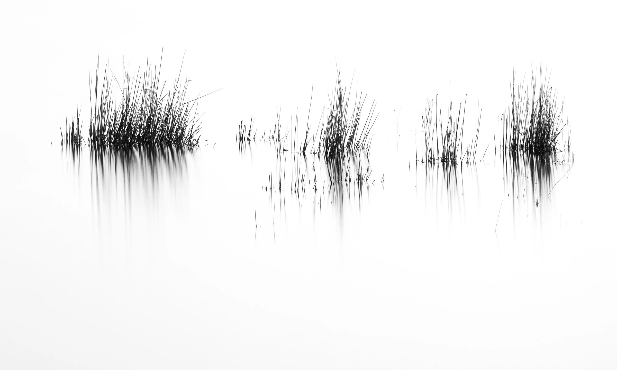 PAJ_0102-Edit.jpg