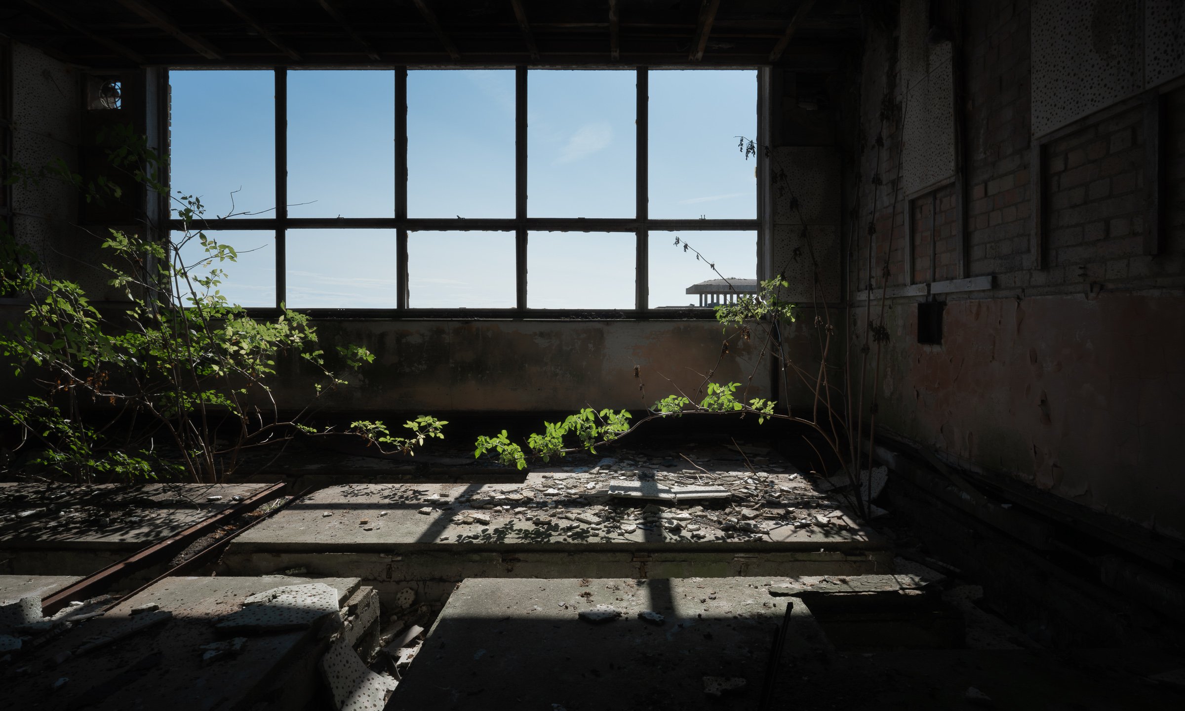 2025-09-08-112404-Orford Ness-201.jpg