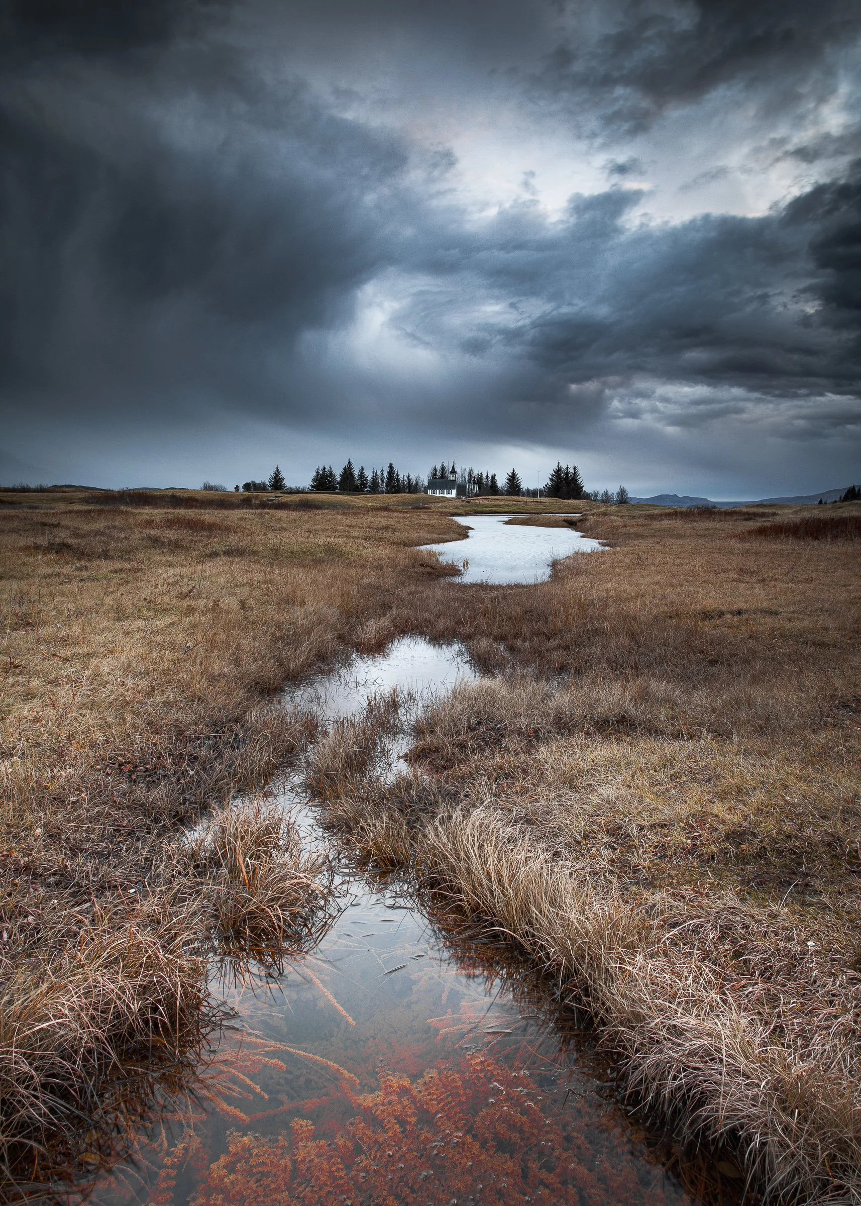 20091113-Þingvellir-56.jpg