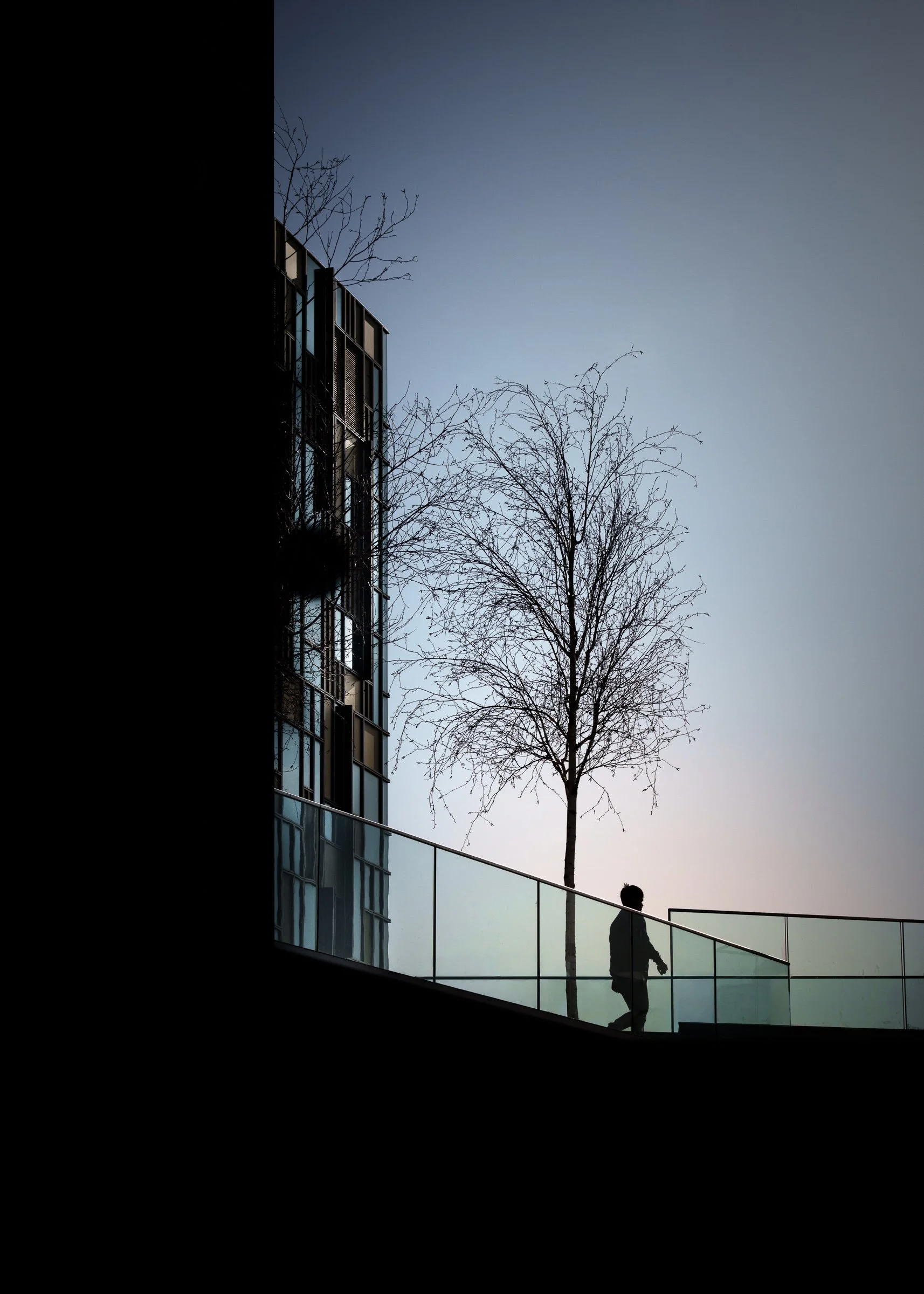 2026-02-25-104848-RPS Greenwich-058.jpg