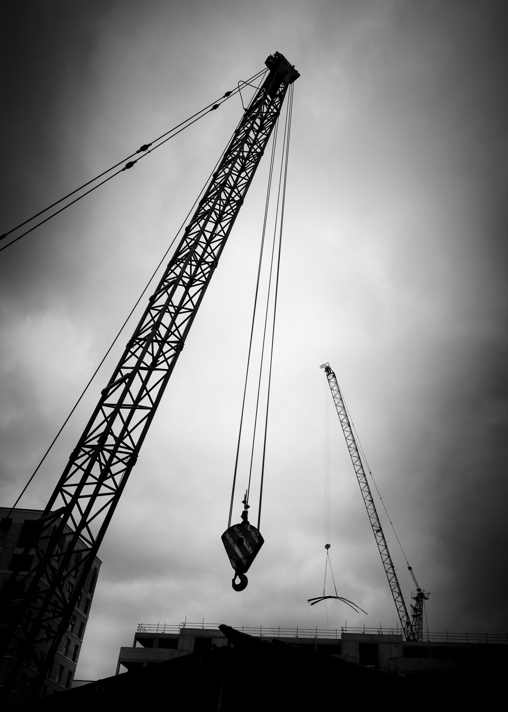 2025-08-20-122415-RPS Brentford-204.jpg