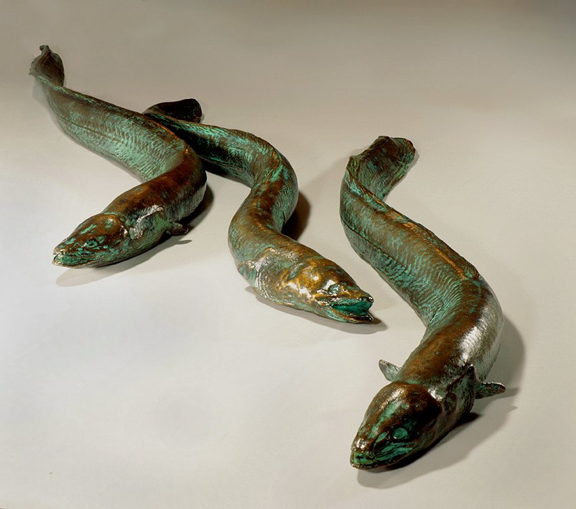 Small bronze Tuna. (eels)