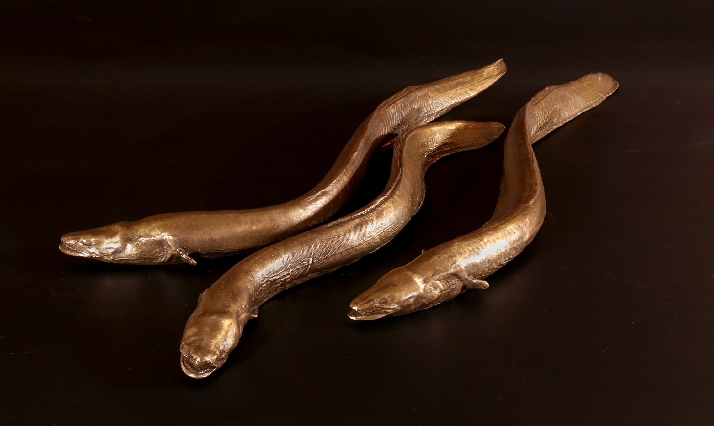 Small bronze Tuna. (eels)