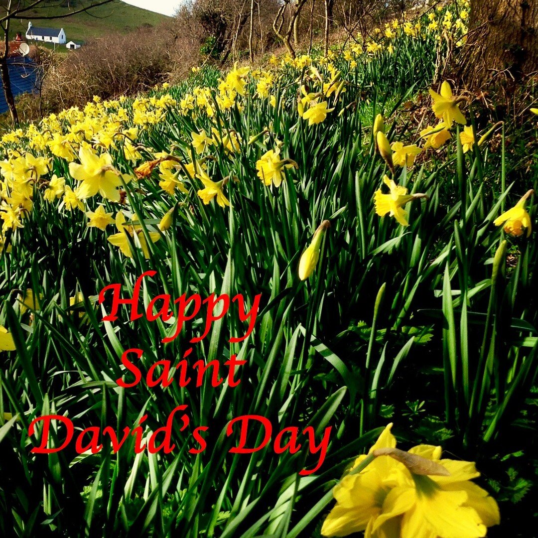 Dydd Gwyl Dewi Hapus - Happy Saint David's Day