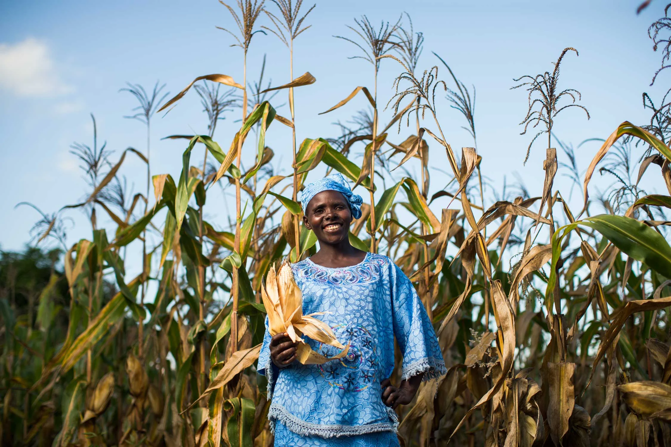 250 million people in Africa, farmers and their families, suffer hunger and malnutrition, struggling in extreme rural poverty without enough food; left behind by rising economic growth. Gorta-Self Help Africa is a leading international development charity with an expertise in small-scale farming and growing family-farm businesses. They are motivated by injustice, by their expertise in small-scale agriculture and family-farm business, and the opportunity they have to help small farmers change the lives of their families.