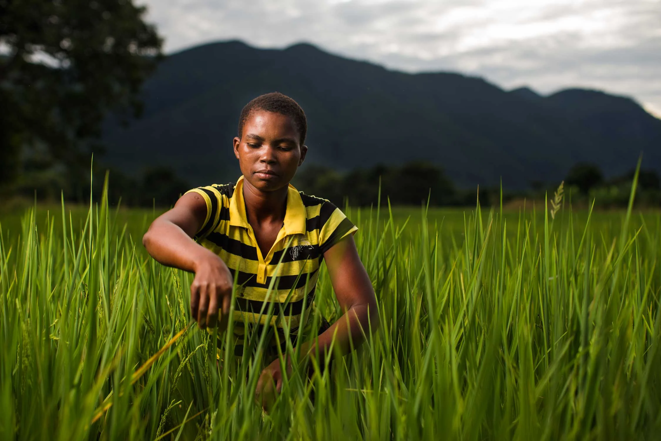 250 million people in Africa, farmers and their families, suffer hunger and malnutrition, struggling in extreme rural poverty without enough food; left behind by rising economic growth. Gorta-Self Help Africa is a leading international development charity with an expertise in small-scale farming and growing family-farm businesses. They are motivated by injustice, by their expertise in small-scale agriculture and family-farm business, and the opportunity they have to help small farmers change the lives of their families.