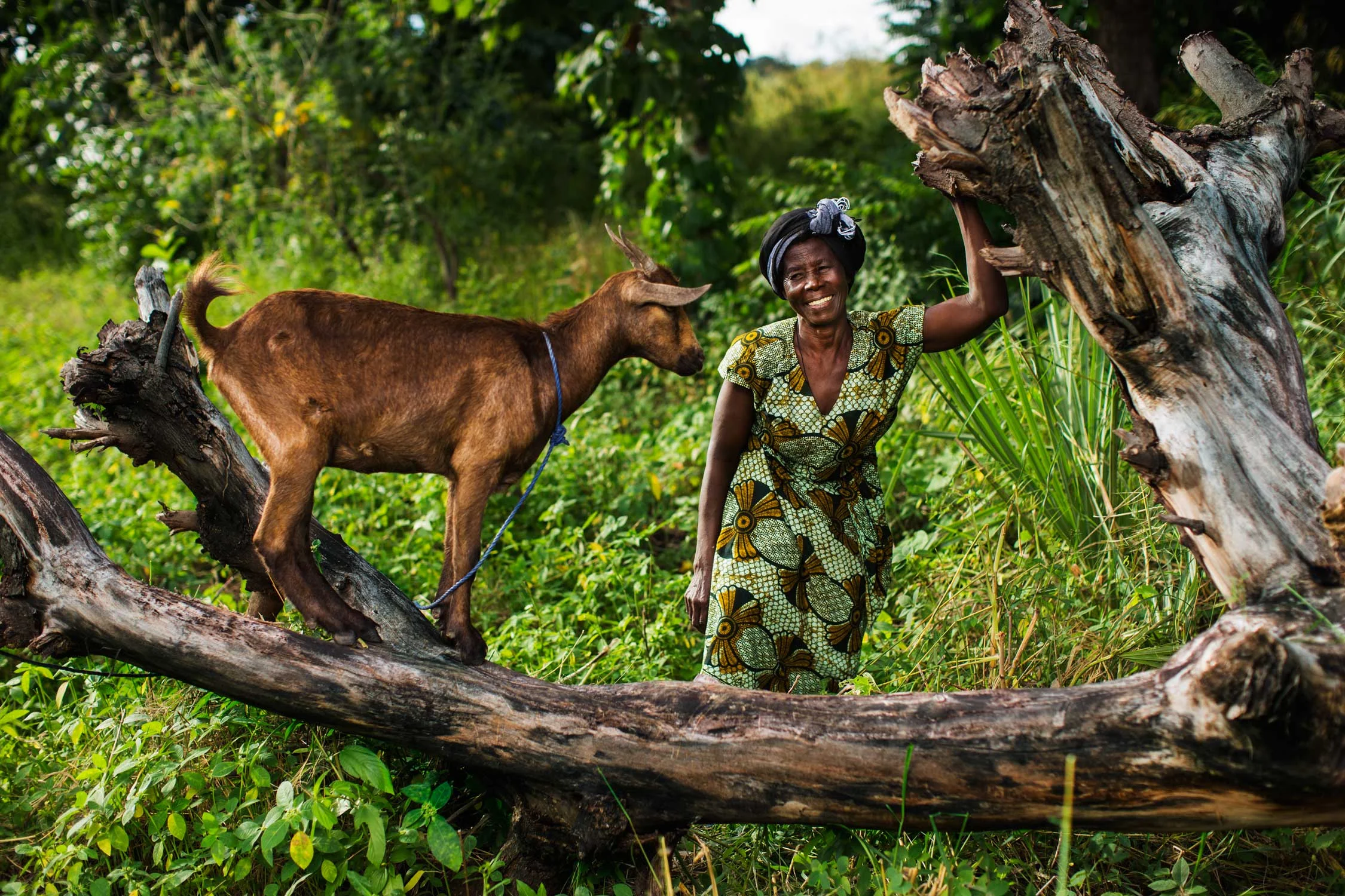 250 million people in Africa, farmers and their families, suffer hunger and malnutrition, struggling in extreme rural poverty without enough food; left behind by rising economic growth. Gorta-Self Help Africa is a leading international development charity with an expertise in small-scale farming and growing family-farm businesses. They are motivated by injustice, by their expertise in small-scale agriculture and family-farm business, and the opportunity they have to help small farmers change the lives of their families.