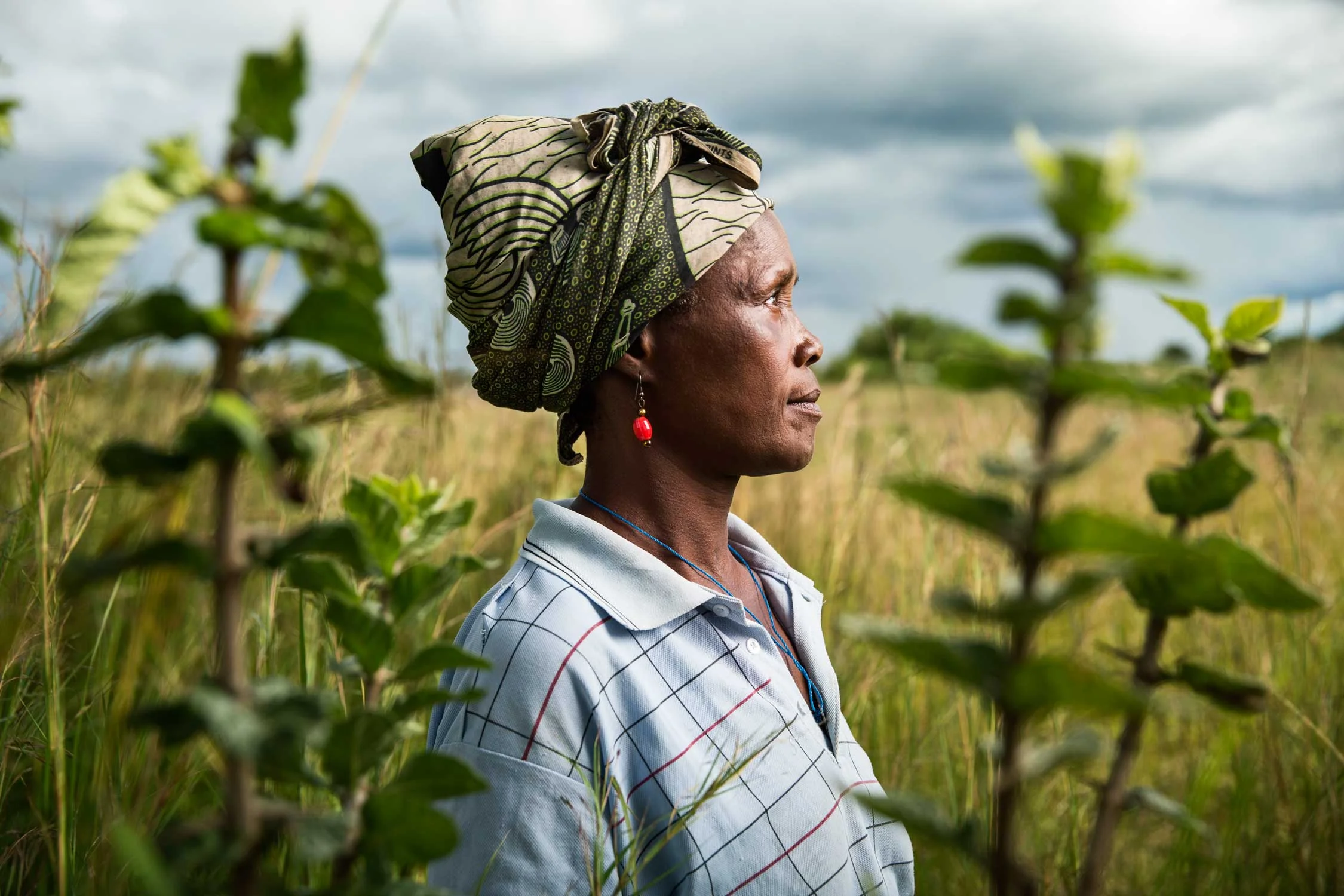 250 million people in Africa, farmers and their families, suffer hunger and malnutrition, struggling in extreme rural poverty without enough food; left behind by rising economic growth. Gorta-Self Help Africa is a leading international development charity with an expertise in small-scale farming and growing family-farm businesses. They are motivated by injustice, by their expertise in small-scale agriculture and family-farm business, and the opportunity they have to help small farmers change the lives of their families.